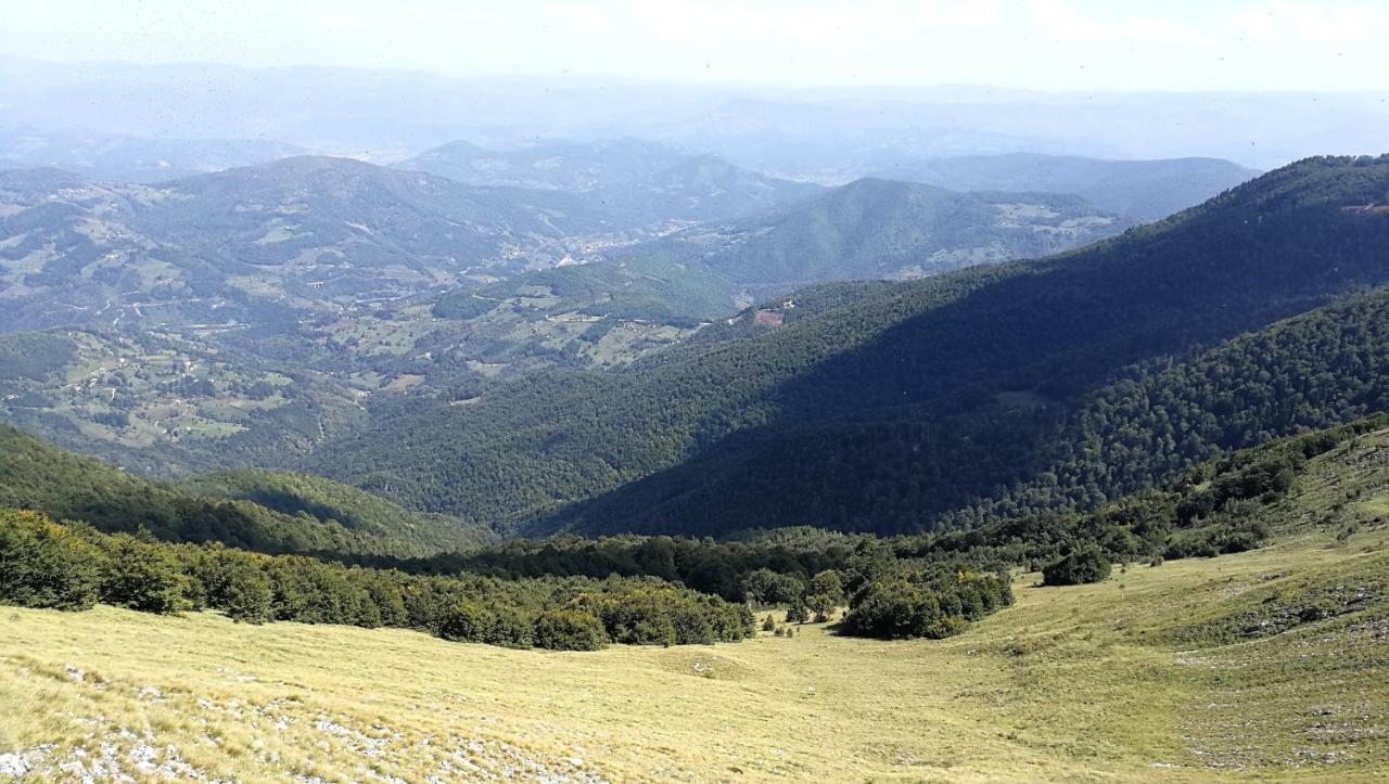 Koliba Pcelica 1-Spa Bijelo Polje Kültér fotó